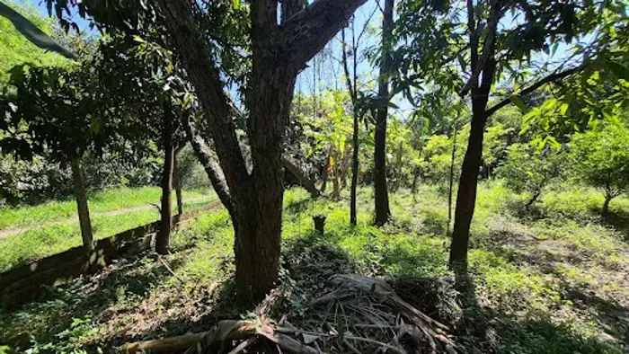 Chácara com 2 dormitórios à venda, 1450 m² por R$ 490.000,00 - Cruzeiro do Sul - Santa Bár