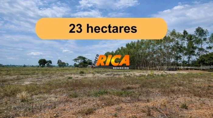 Venda de Excelente Sítio com 23 hectares em Costa Marques-RO!