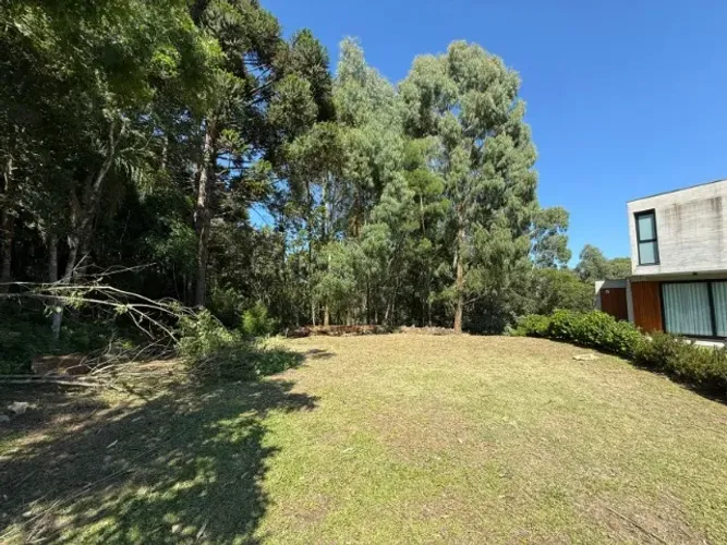 Gramado/RS Terreno de 740m² abaixo do valor de mercado