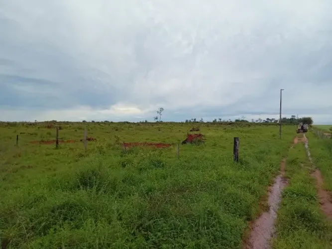 Sítio de 70ha em Nova Ubiratã