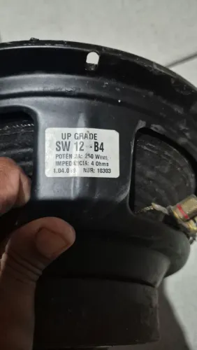 Subwoofer 12 polegas 250Wrms