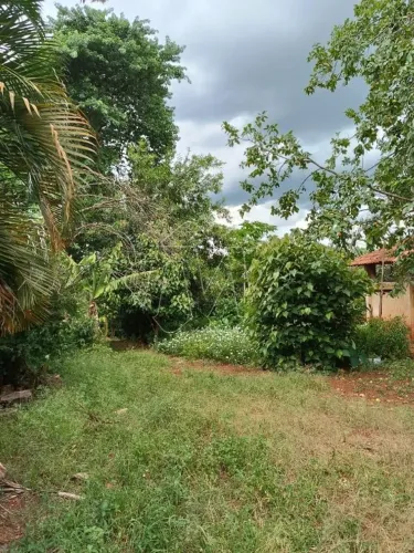 Venda de Rural / Chácara na cidade de Araraquara