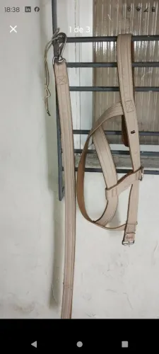 Conjunto de guia com coleira peitoral 