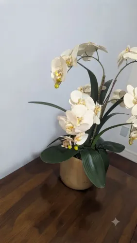 Arranjo de Orquídeas Brancas em Vaso Decorativo/Cerâmica.