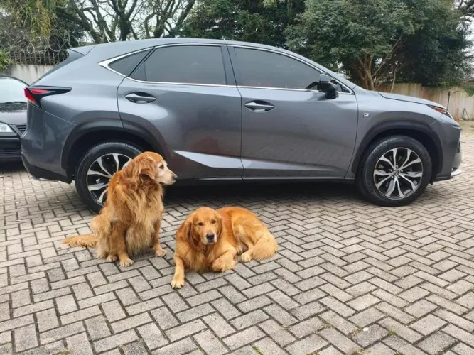 Lexus NX-200T F-sport 2.0 16V 238cv Aut. 2016