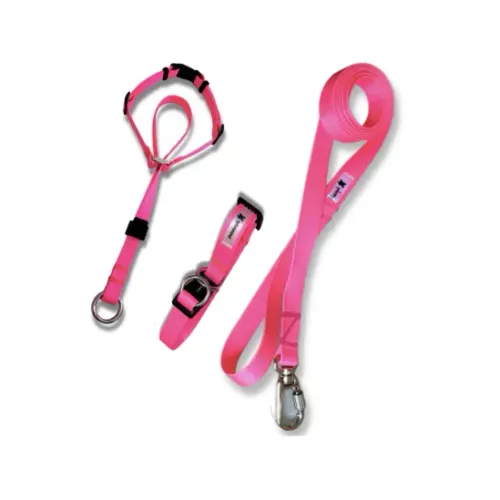 Coleira Petsteph Kit Cabresto Super Premium Rosa Neon Tamanho G
