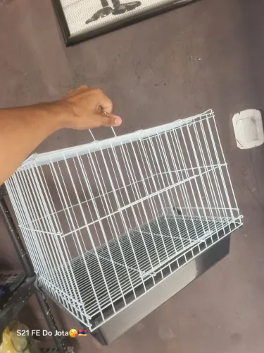 Gaiola para pássaros ou coelho