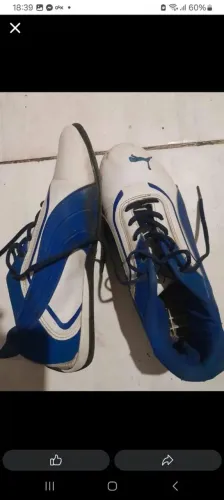 Tenis