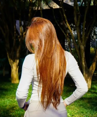 Brasileiro Sul Ruivo Lindo dos Sonhos