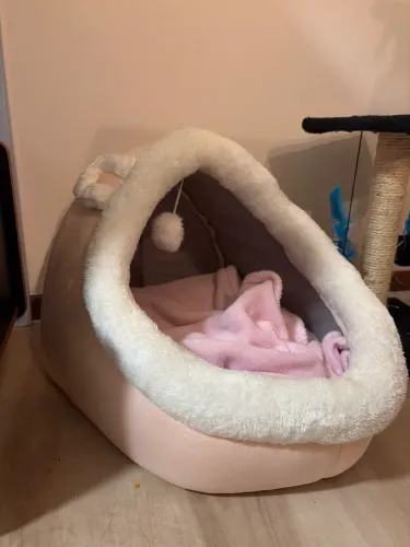 Caminha para gato ou cachorro