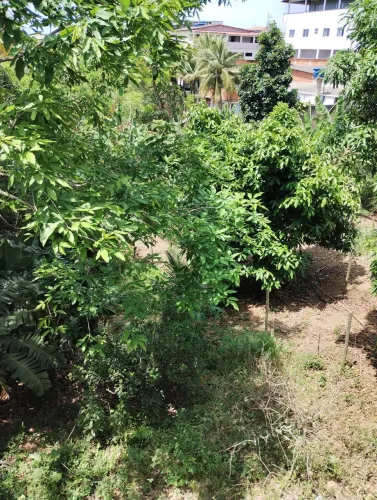 comércio em eldorado em frente ao condomínio eldorado 