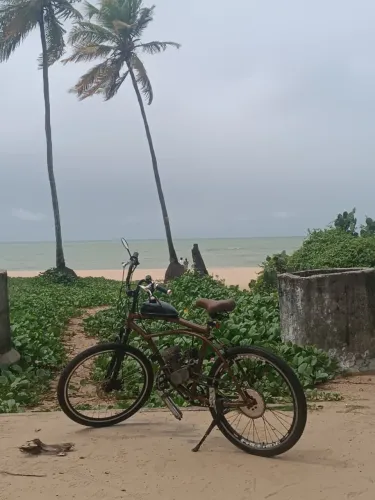 Bicicleta motorizada 98cc