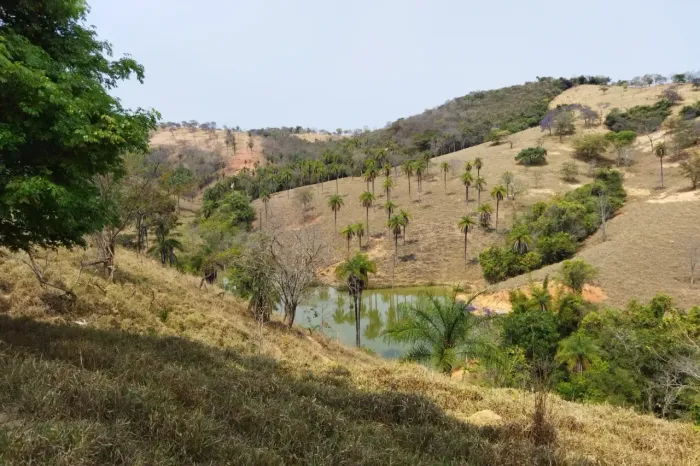 Excelentes fazendinhas de 20000 metros quadrados em Zona Rural - Jaboticatubas - MG