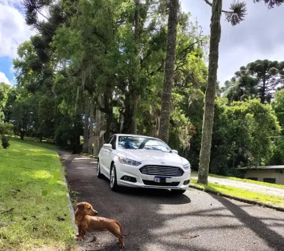 Ford Fusion Titanium Hybrid 2.0 145cv Aut. 2014