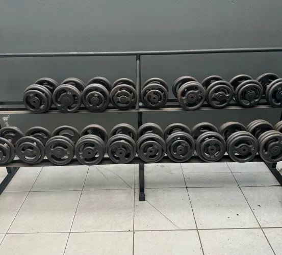 Halteres de 12Kg ao 30kg mais suporte 