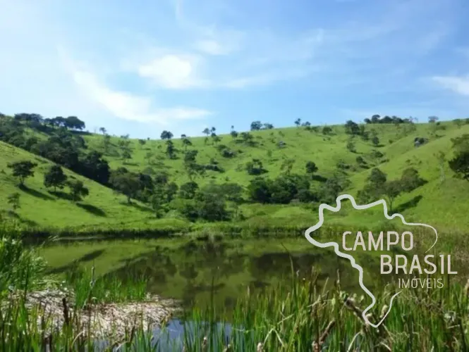 LINDA FAZENDA DE 48 HECTARES EM CUNHA!
