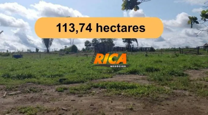 Fazenda à venda, 113,74 Hectares por R$ 1.645.000 - Área Rural de Candeias do Jamari - Can