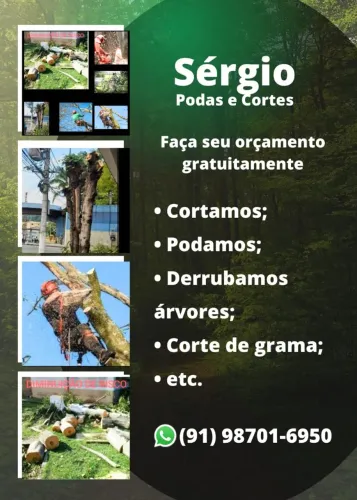Cortamos e podamos árvores