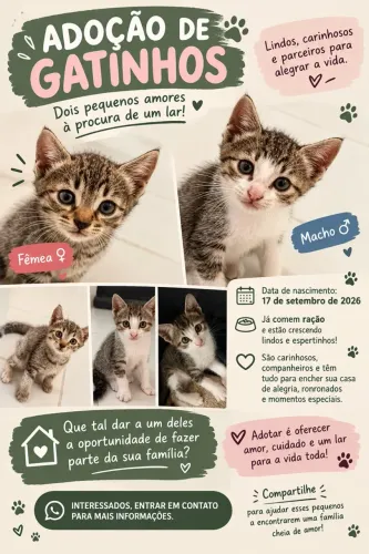Filhotes para adoção responsável.