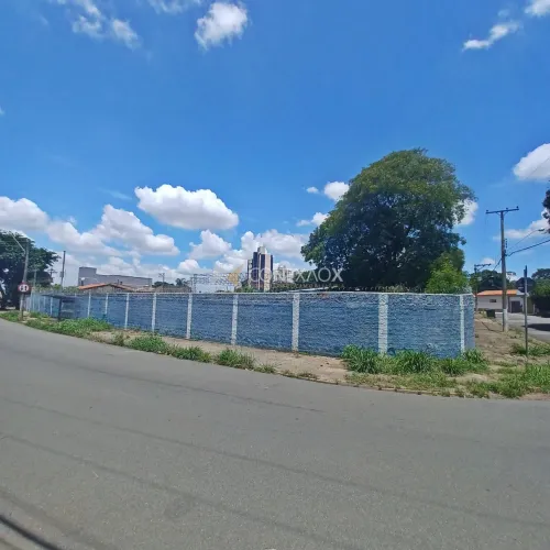 área - Vila Nova - Campinas
