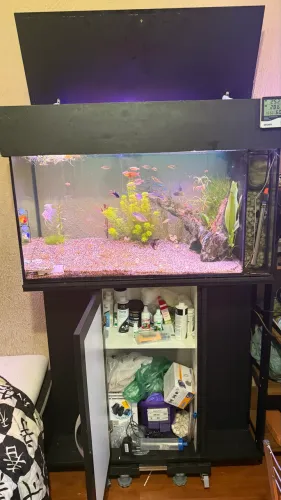 Aquario 200 litros com sump interno 