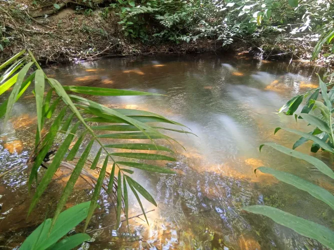 ? Chácara com casa pronta, muita água e natureza em Gameleira de Goiás ?