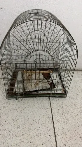 Gaiola de loro em bom estado 