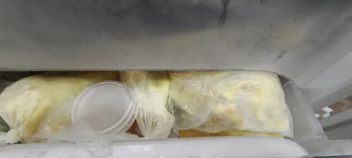 Venda de polpa de Cupuaçu.