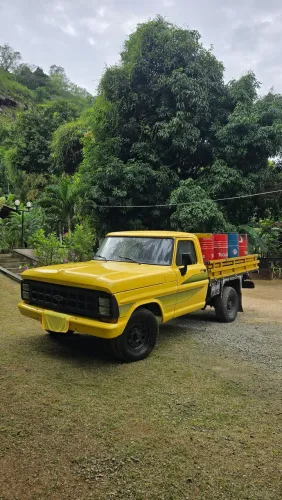 Ford F-1000 SR XK Deserter Diesel 1982