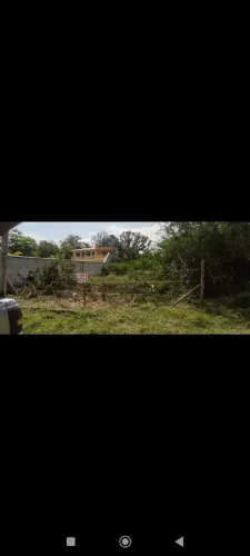 Terreno em campo grande