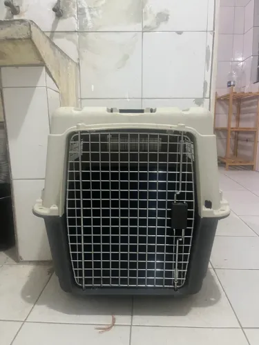 Caixa de transporte de cães