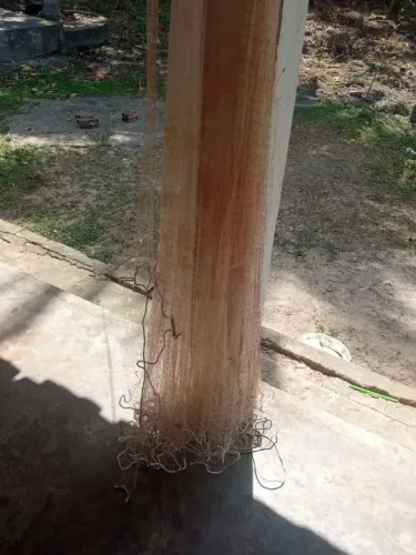 Rede de pescar semi nova 100 metros 