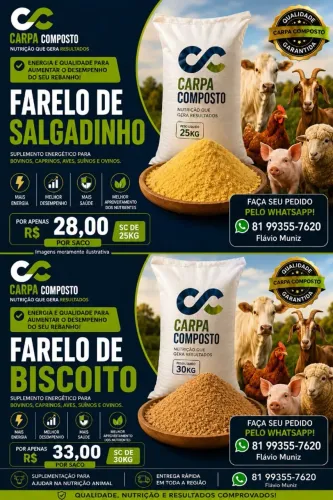 Farelo de Salgadinho e Biscoito