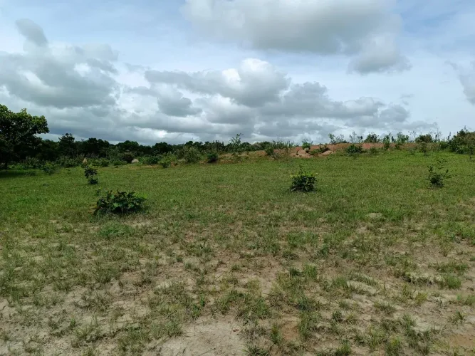 COD521- FAZENDA Á VENDA DE 34 HECTARES EM RIO NEGRO/MS