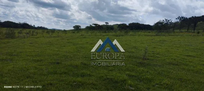 Fazenda com 3 dormitórios à venda, 1113200 m² por R$ 6.100.000,00 - Rural - Jacarezinho/PR