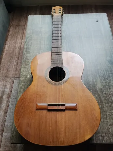 Violão DiGiorgio elétrico 