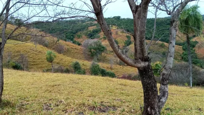 Fazenda à venda 28 alqueires em - Guaraíta - GO