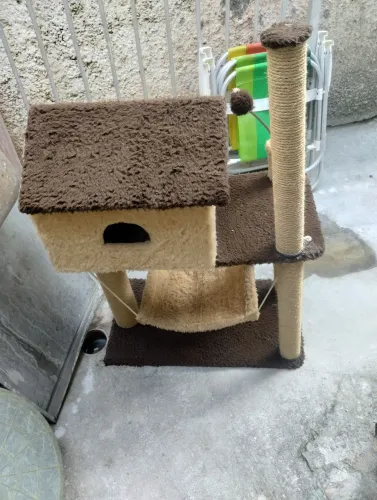 Casinha para gatos 