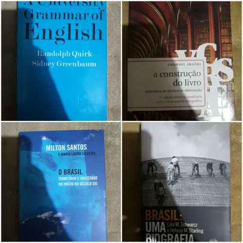 Box livros diversos 2 - livros de história - humanas - para livreiros e sebos