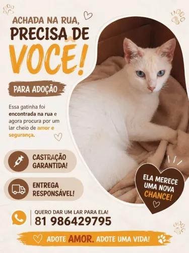 Adoção responsável 