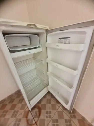Geladeira 220v