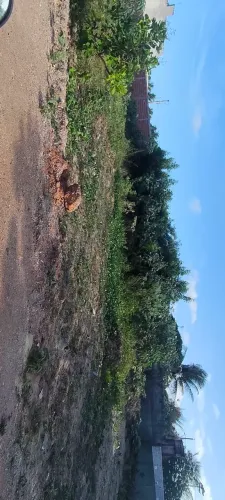 Lotes 7x18 na área de expansão