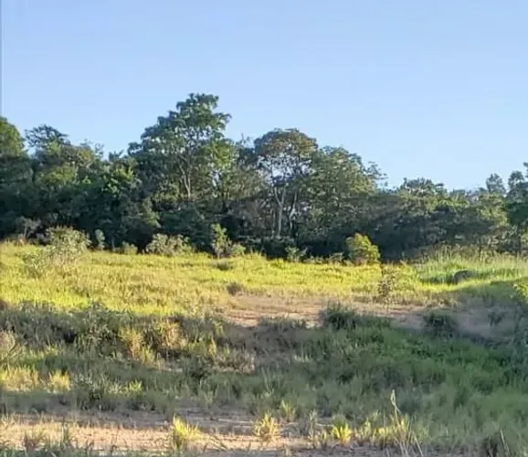 Área para aluguel e venda no Distrito Industrial em Uberlândia/MG