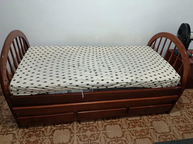 Bi cama