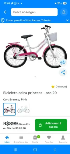 Bicicleta aro 20 com cestinha e garupa