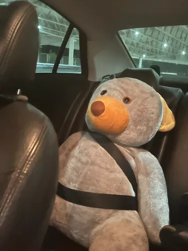 Urso Pelúcia Gigante