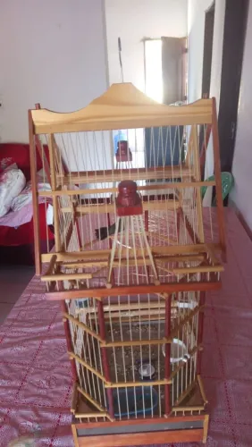vende se uma gaiola e um curio