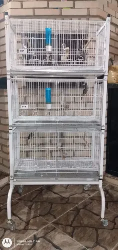 Gaiola com divisórias e partições e andares 