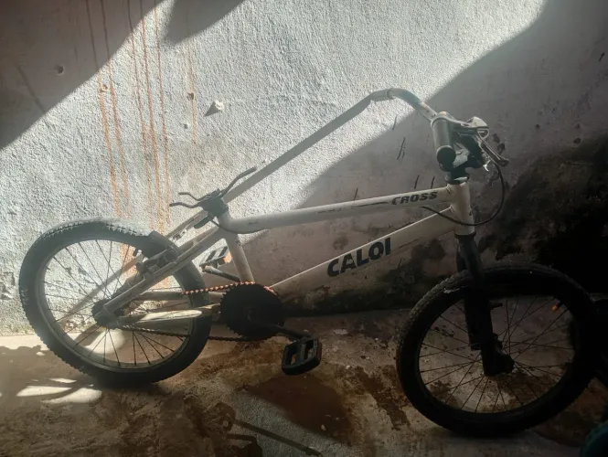 bmx cult