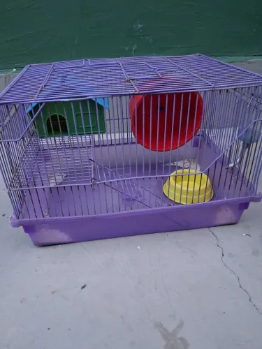 Vendo gaiola de hamster